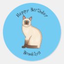 Search for siamese cats stickers Pet