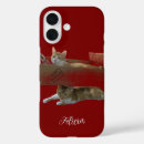 Search for funny cat picture iphone cases For her