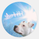 Search for white pitbull stickers Pets