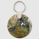 Search for wasp key rings Insect