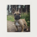 Search for frenchies art Cute dog