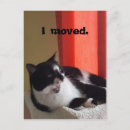 Search for talking postcards Cat