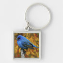 Search for backyard bird key rings Wildlife