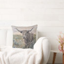 Search for longhorns cushions Texas
