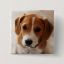 Search for selected badges Puppy
