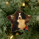 Search for collie christmas tree decorations Animal
