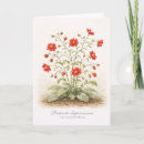 Search for vintage botanical print cards Flowers