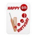 Search for cricket magnets Bat