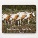 Search for gazelle electronics Deer