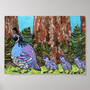 Search for california quail art Bird
