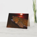 Search for nature leopard cards Animal