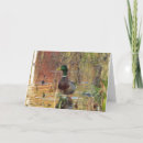Search for ripples cards Pond