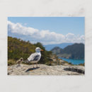 Search for postales postcards Landscape