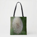 Search for dandelion Photography