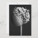Search for allium cards Bouquet