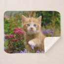 Search for animal head blankets Cat
