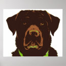 Search for cute graphics art Dog