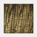 Search for barks magnets Nature