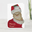 Search for animal charity cards Cat