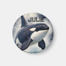 Search for orca magnets Killer whale