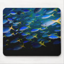 Search for scuba diving mousepads Adventure