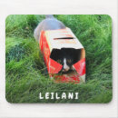 Search for cute cat mousepads Simple
