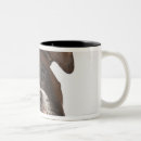 Search for headphones coffee mugs Listening