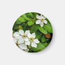 Search for orange blossom magnets Green