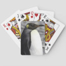 Search for penguins playing cards Nature