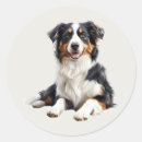 Search for australian shepherd dog stickers Cute
