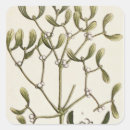 Search for herbal stickers Leaf