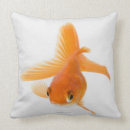 Search for goldfish cushions Swimming