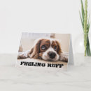 Search for unwell cards Dog