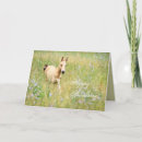 Search for foal birthday cards Friend
