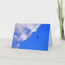 Search for freedoms cards Blue