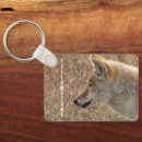 Search for coyote key rings Wildlife