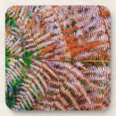 Search for green fern coasters Forest