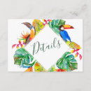 Search for exotic bird Watercolor