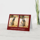 Search for dancing cat birthday cards Dance