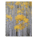 Search for aspen notebooks Yellow