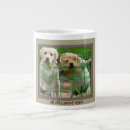 Search for caught mugs Funny