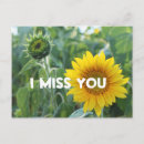 Search for bud postcards Photography