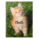 Search for tabby cat notebooks Animal