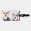 Search for couple travel accessories Dog