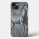 Search for stallion cases Equestrian