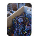 Search for winery magnets Country