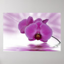 Search for macro of art Blossom