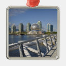 Search for sciences christmas tree decorations Nobody