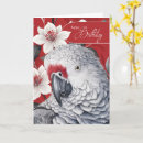Search for red parrot cards Birds