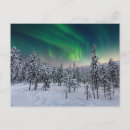 Search for boreal forest postcards Woodland